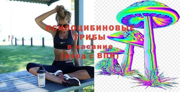 МДПВ Абаза