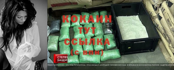 сатива Осинники
