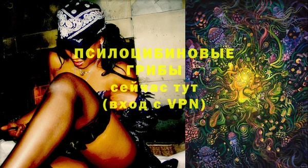 ПСИЛОЦИБИНОВЫЕ ГРИБЫ Алексеевка