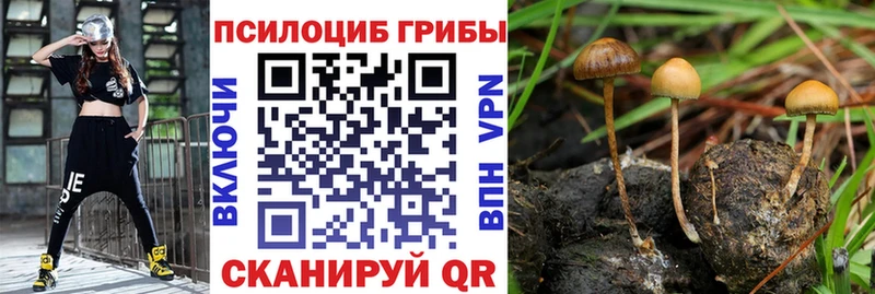 Псилоцибиновые грибы ЛСД  купить закладку  гидра зеркало  Кораблино 